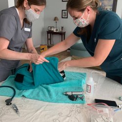 Pinnacle Home Veterinary Services