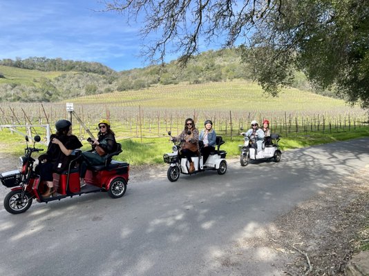 Pushpak Wine Country Tours by null