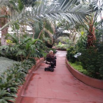 Garfield Park Conservatory - Inside - Parks Near Me - Chicago, Illinois