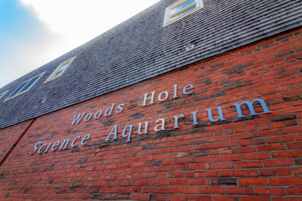 Woods Hole Science Aquarium by null