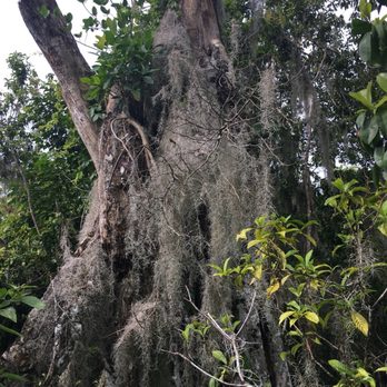 Fern Forest Nature Center - Parks Near Me - Coconut Creek, Florida