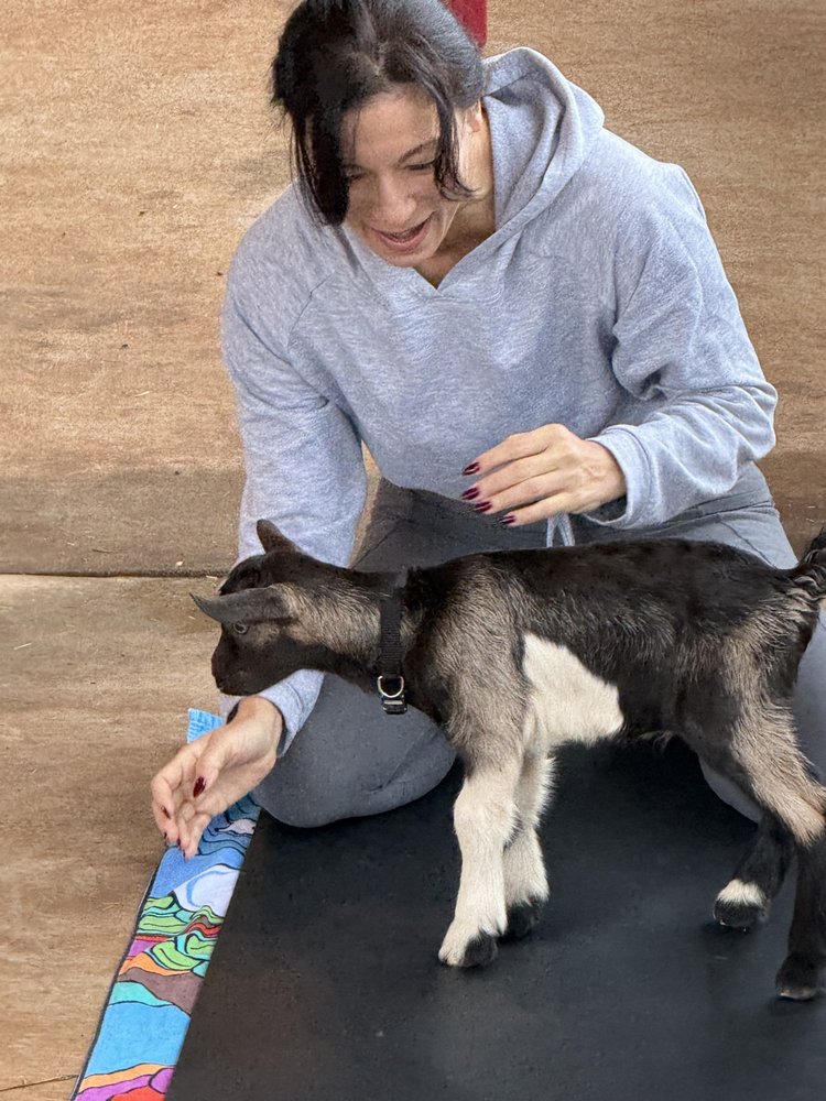 Canopy By Bizia Logo