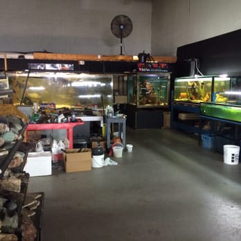 Fish Addicts - Pet Stores Near Me - Langley, British Columbia Fish Addicts - Pet Stores Near Me - Langley, British Columbia