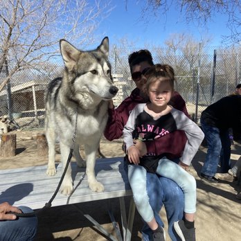 Wolf Mountain Sanctuary - Animal Shelters Near Me - Lucerne Valley, California Wolf Mountain Sanctuary - Animal Shelters Near Me - Lucerne Valley, California