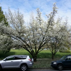Quilchena Park