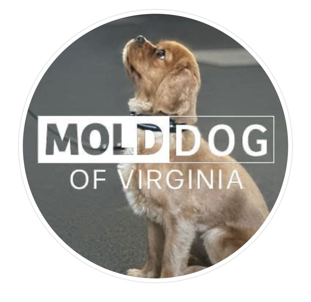 Mold Dog of Virginia - mold inspector in Norfolk, VA