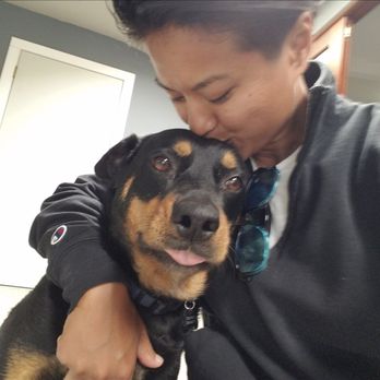 Lina Pet Care - Pet Sitting Near Me Lina Pet Care - Pet Sitting Near Me