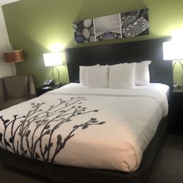 King bed.