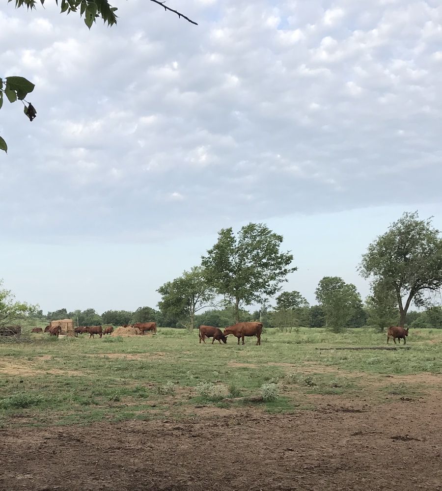 Slide of Keele Plumbing Heating & Air