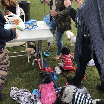 Jamesport Farm Brewery - A group was having a BARKmitzvah for their dog. Lol - Breweries Near Me - Riverhead, New York Jamesport Farm Brewery - A group was having a BARKmitzvah for their dog. Lol - Breweries Near Me - Riverhead, New York