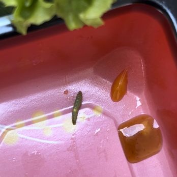 Erewhon - A close of up the worm/caterpillar bug - Grocery Near Me - Los Angeles, California