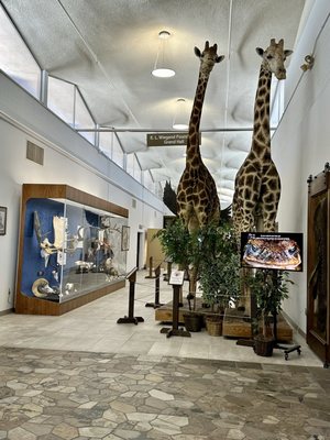 Las Vegas Science & Natural History Museum by null