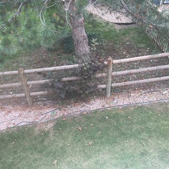 Hollar Tree Company - Tree Services Near Me Hollar Tree Company - Tree Services Near Me