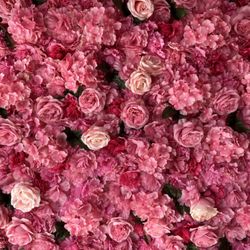 Mochi D---h - Flowers everywhere! Time for some photoshoot!