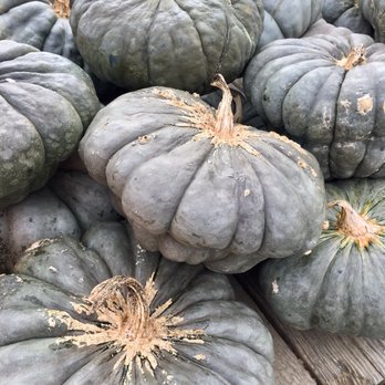 Garner's Produce - a pile of pumpkins - Farmers Market Near Me - Warsaw, Virginia