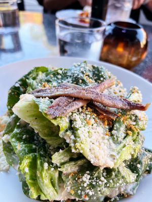 Sophia Steak Wilmette by null