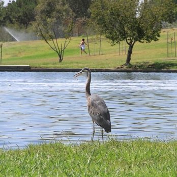 Lake Balboa/Anthony C. Beilenson Park - Parks Near Me - Van Nuys, California Lake Balboa/Anthony C. Beilenson Park - Parks Near Me - Van Nuys, California