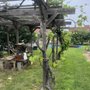 Photo of Virginia Avenue Community Garden