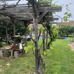Virginia Avenue Community Garden