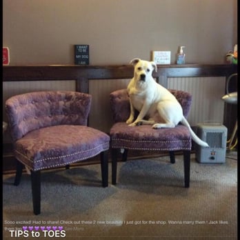 Tips To Toes Nail Spa - Inside my salon. That's my fur kid Jack posing - Nail Salons Near Me - Coventry, Connecticut