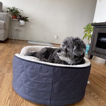 Pawsome Adventures Pet Care - Dog Walkers Near Me Pawsome Adventures Pet Care - Dog Walkers Near Me