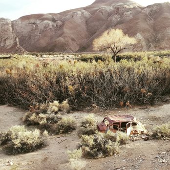 Cynthia's Safaris - Anyone see my ride? - Guest Houses Near Me - Tecopa, California