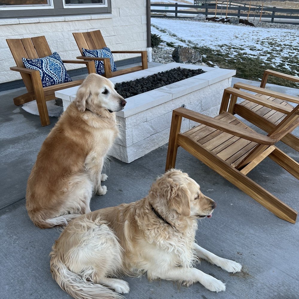 Enviroscapes - two dogs sitting on a patio - Landscaping Near Me - Arvada, Colorado Enviroscapes - two dogs sitting on a patio - Landscaping Near Me - Arvada, Colorado
