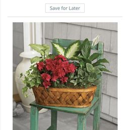 Website photo that I asked for by name