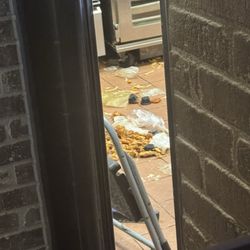 Buffalo Wild Wings - The kitchen area where they prepare people's food. If the floor looks like this, I'm scared of how the rest of the kitchen looks.