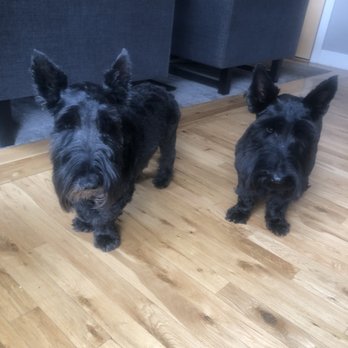 My Denver Pet - undefined - Pet Groomers Near Me