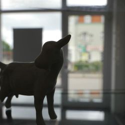 Goaty - Eis + Kunst Galerie