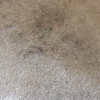Castro's Carpet Cleaning - Carpet Cleaning Near Me - Santa Barbara, California Castro's Carpet Cleaning - Carpet Cleaning Near Me - Santa Barbara, California