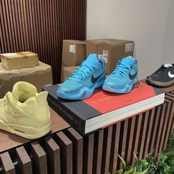 Sneaker Politics
