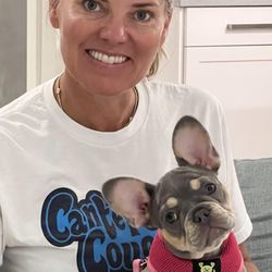 Go Dog Training