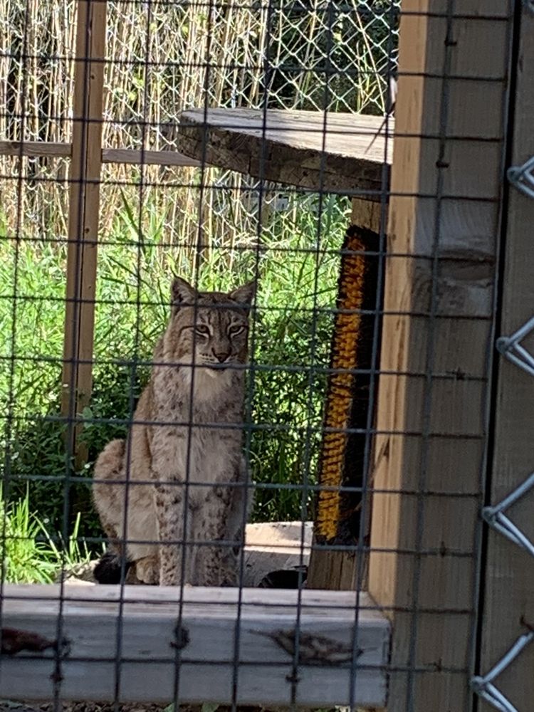 SAUNDERS COUNTRY CRITTERS ZOO AND GARDEN CENTRE Updated September