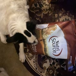 RollOver Pets - Every Time You Deliver, You Deliver More Than Food. Oreo Is So...Happy On The Joy You Bring! This Is Today's Joy!