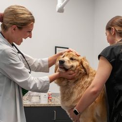 Hampton Cove Animal Hospital & Covepets