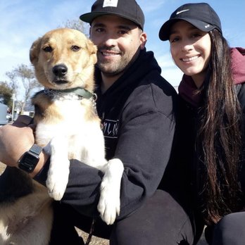 Zen Your Dog - Pet Training Near Me