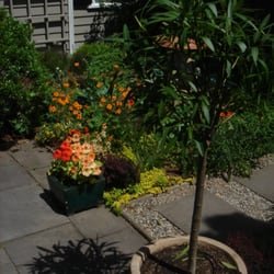 Schleicher Irrigation