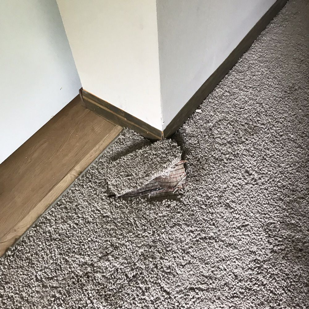 651 Carpets+ - Hole in carpet - Countertop Installation Near Me - Ham Lake, Minnesota 651 Carpets+ - Hole in carpet - Countertop Installation Near Me - Ham Lake, Minnesota