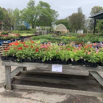 CountryMax - Pet Stores Near Me - North Tonawanda, New York