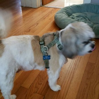 Loving Care Pet Services - BEAUTIFUL!! - Dog Walkers Near Me - Kenilworth, Illinois Loving Care Pet Services - BEAUTIFUL!! - Dog Walkers Near Me - Kenilworth, Illinois