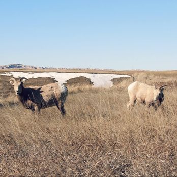 Badlands National Park - Parks Near Me - Interior, South Dakota
