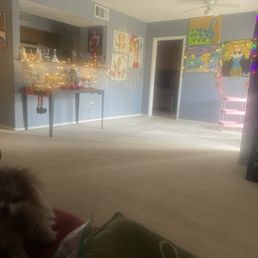 The cleanest white carpet! Thank you, Seth!