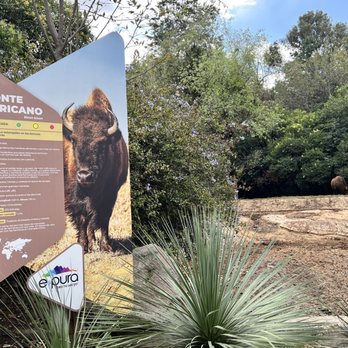 Zoológico de Chapultepec - Zoos Near Me - México, D.F., DIF Zoológico de Chapultepec - Zoos Near Me - México, D.F., DIF