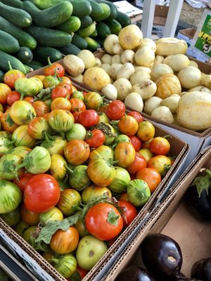 Lake City Farmers Market by null