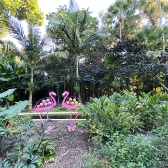 Flamingo Gardens - Neat scene - Botanical Gardens Near Me - Davie, Florida Flamingo Gardens - Neat scene - Botanical Gardens Near Me - Davie, Florida