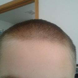 A Little Off The Top