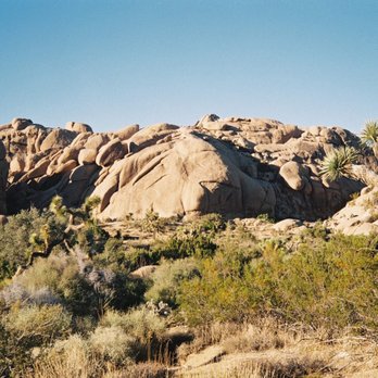 Rewind Film Lab - Joshua Tree, California Olympus 35RC - Photography Stores & Services Near Me - Orange, California