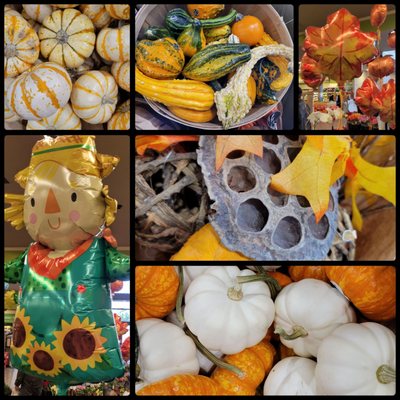 Safeway Bakery by null